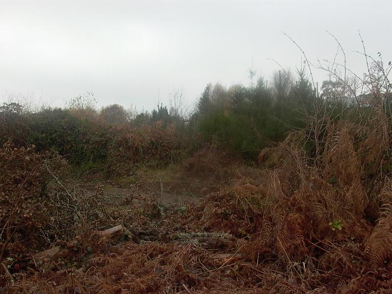 P1050727.JPG