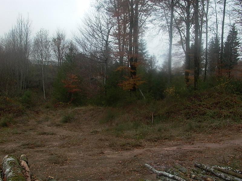 P1050728.JPG