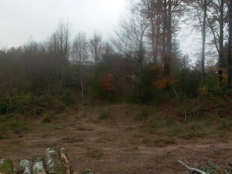 P1050731.JPG