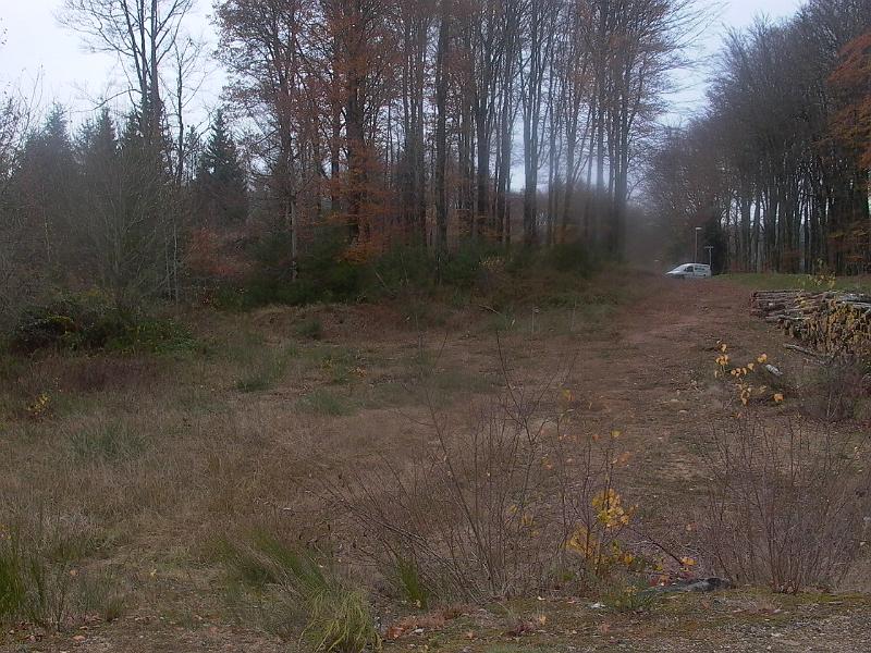 P1050737.JPG